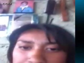 Zorra aficionado mexicana